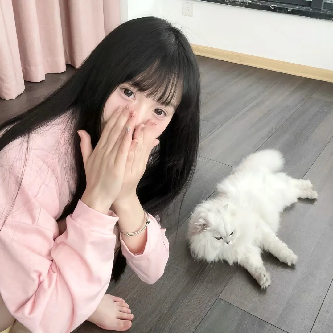 理性和感性